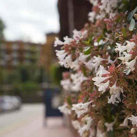 Apartmán Eldorado *